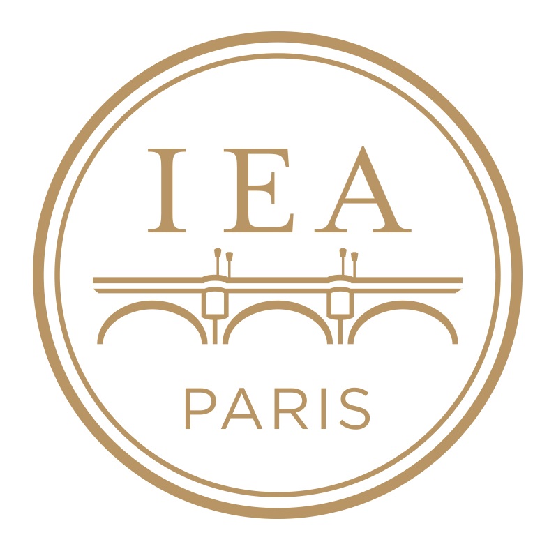 Institut d'études avancées de Paris