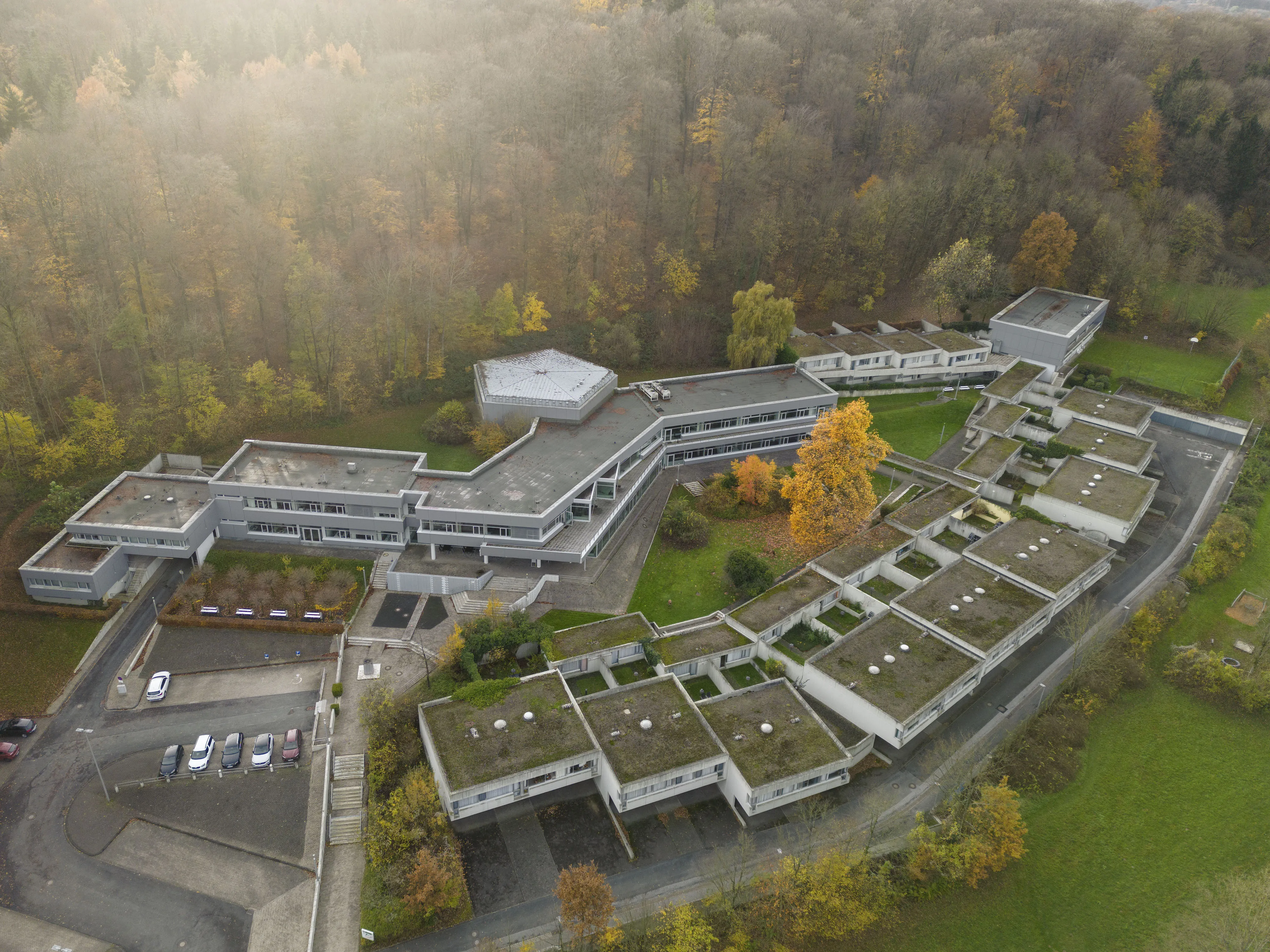 ZiF ZiF seen from above